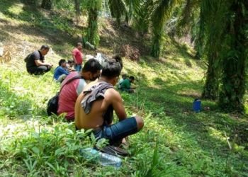 Tampak para preman yang dituding disewa PT SRA menguasai kebun sawit milik masyarakat. (foto: istimewa)