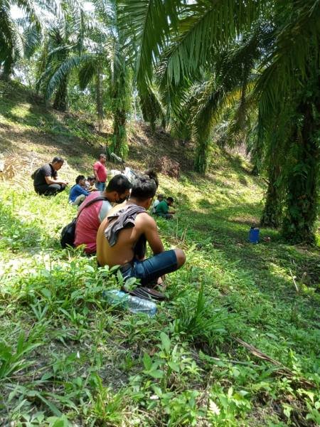 Tampak para preman yang dituding disewa PT SRA menguasai kebun sawit milik masyarakat. (foto: istimewa)