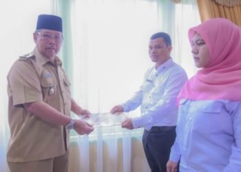 Wakil Wali Kota Padangsidimpuan Arwin Diregar saat menyerahkan SK PPPK. (IST)