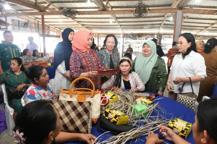Ketua Dekranasda Provinsi Sumatera Utara Nawal Lubis didampingi Sekretaris Dekranasda Sumut Hasnah Lelly Siregar, membuka secara resmi pelatihan anyaman Wilayah Kepualauan Nias di Hotel Kaliki Gunung Sitoli, Selasa (20/06). (Diskominfo Sumut)