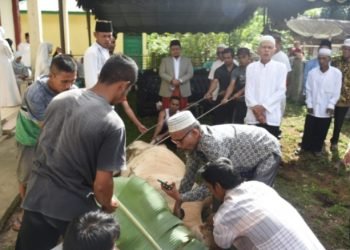 Bupati Tapsel Dolly Pasaribu dan Ketua TP PKK menyaksikan penyembelihan hewan Qurban. (IST)