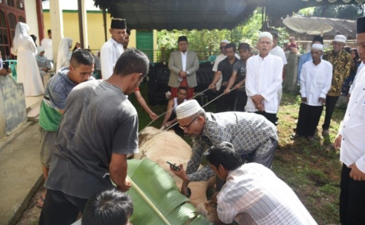 Bupati Tapsel Dolly Pasaribu dan Ketua TP PKK menyaksikan penyembelihan hewan Qurban. (IST)