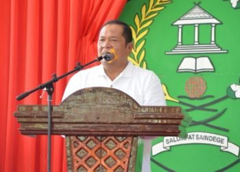 Wali Kota Padangsidimpuan Irsan Nasution saat memberikan sambutan pada Peringatan HAN. (IST)
