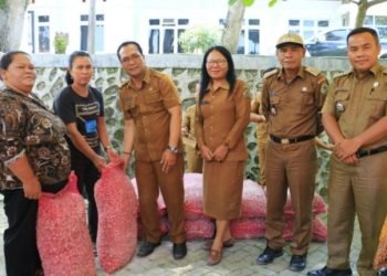 Pemkab Samosir salurkan bantuan bibit kopi. (Suriono Brandoi)