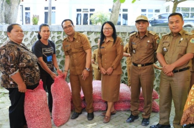Pemkab Samosir salurkan bantuan bibit kopi. (Suriono Brandoi)