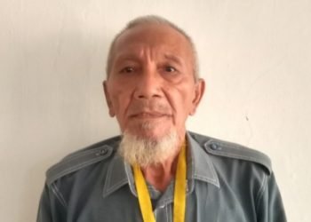 Ketua DHR - BPK 45 Kecamatan Sei Dadap M. Idris Siagian. (IST)