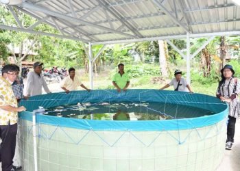 Plt Kadis Ketapang dan Pertanian Samosir meninjau Budidaya Ikan sistim Bioflok.(Suriono Brandoi)