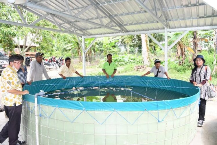 Plt Kadis Ketapang dan Pertanian Samosir meninjau Budidaya Ikan sistim Bioflok.(Suriono Brandoi)