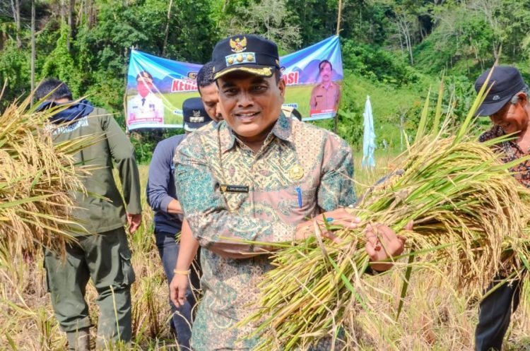 Pj. Wali Kota Padangsidimpuan Letnan Dalumunthe bersama Kelompok Karya panen padi sawah  di Saba Gomburan Bakaran Lama Kel. Silandit Kec. Padangsidimpuan Selatan. (IST)