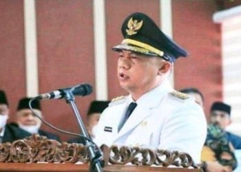 Bupati Labuhanbatu Erik Adtrada Ritonga.