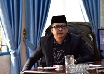 Ketua DPRD Mandailing Natal (Madina) Erwin Efendi Lubis.
