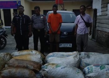 Eka Prasetia, pelaku pencurian sawit PT Torganda.