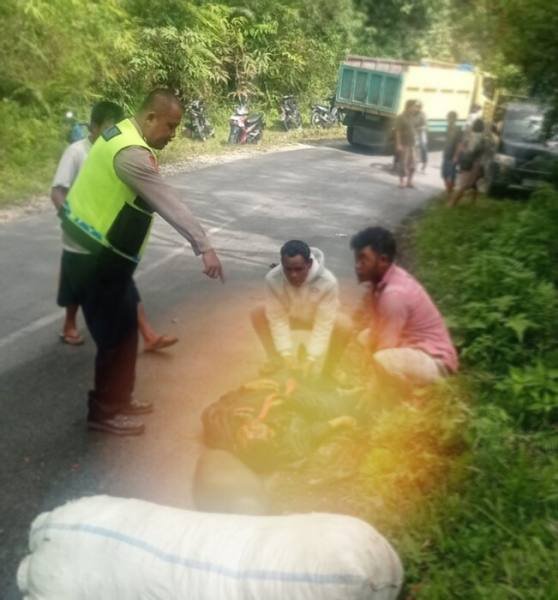 Pengendara sepeda motor tewas setelah di tabrak truk di Taput.