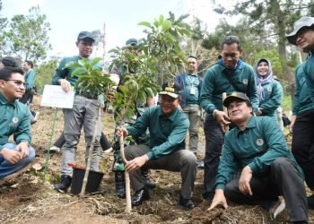 Pj Gubernur Sumatera Utara (Sumut) Hassanudin didampingi Pj Ketua TP PKK Sumut Dessy Hassanudin, Bupati Simalungun Radiapoh Sinaga, Ketua TP PKK Simalungun Ratnawati Radiapoh Sinaga, serta Dirjen Planologi Kehutanan dan Tata Lingkungan Hanif Faisol Nurofi, melakukan penanaman pohon di Sipolha Horison, Kecamatan Pematang Sidamanik, Kabupaten Simalungun. Penanaman pohon dilakukan secara serentak seluruh Indonesia pada, Minggu (14/01). (Diskominfo Sumut)