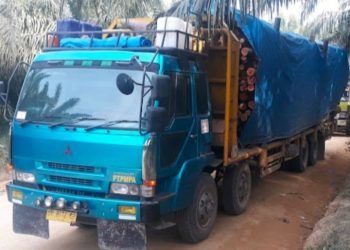 Truk Pengangkut Bahan Baku PT.TPL dari Sei Kabaro. (IST)