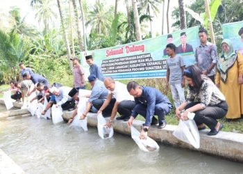 Sekda  Sofyan Adil menebar benih Ikan Nila bersama Masyarakat Desa Muara Purba Nauli dan Desa Sori Manaon, Kecamatan Angkola Muara Tais, Kabupaten Tapsel. (IST)