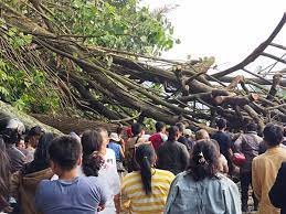 Masyarakat dan pengendara menunggu evakuasi pohon tumbang yang menutup ruas jalan di sekitar pintu masuk Parapat.