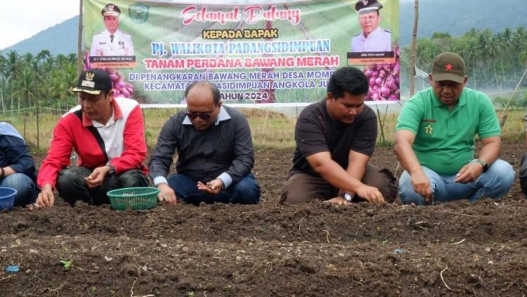 : Pj.Wali Kota Padangsidimpuan Letnan Dalimunthe bersama kelompok tani tanam bawang merah. (IST)