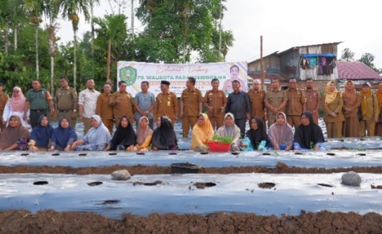 Pj. Wali Kota Padangsidimpuan Letnan Dalimunthe bersama Dinas Pertanian Kota Padangsidimpuan dan kelompok tani saat tanam cabai di Kel. Hutaimbaru Kec. Padangsidimpuan Hutaimbaru, Senin  (22/4). (IST)
