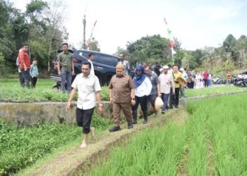 Bupati Tapsel Dolly Pasaribu saat meghadiri penanaman perdana padi varietas jenis Silatihan Genjah di Desa Sarogodung, Kecamatan Sipirok, Kamis (26/4). (IST)