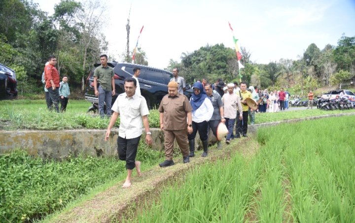 Bupati Tapsel Dolly Pasaribu saat meghadiri penanaman perdana padi varietas jenis Silatihan Genjah di Desa Sarogodung, Kecamatan Sipirok, Kamis (26/4). (IST)