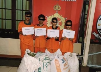 Keempat pelaku pencurian cabai di kebun warga. 