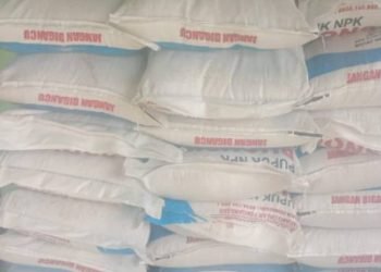 Pupuk subsidi Urea dan NPK Ponska.