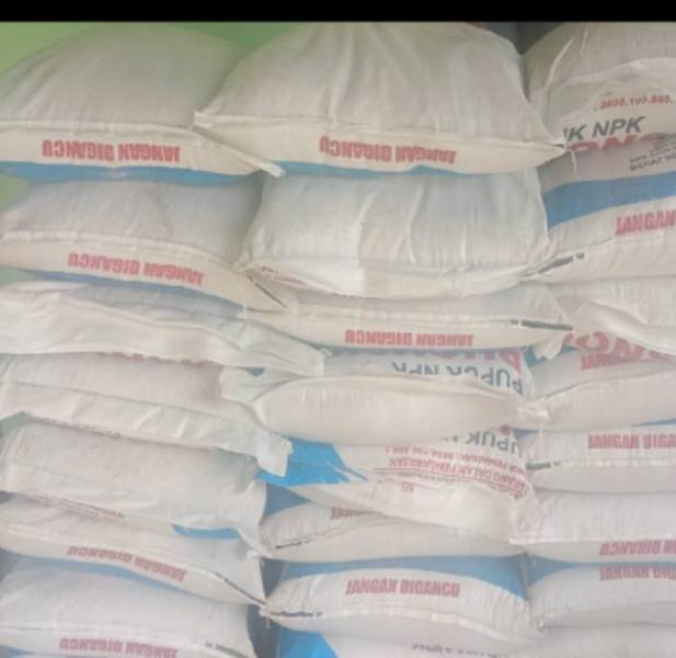 Pupuk subsidi Urea dan NPK Ponska.