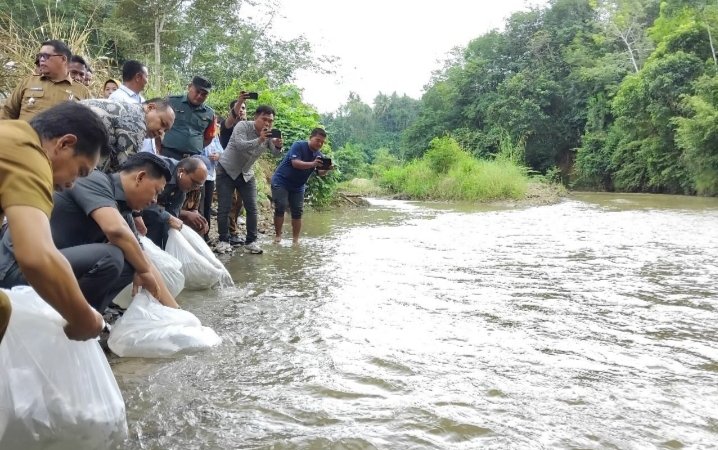 Pj.Wali Kota Padangsidimpuan Letnan Dalimunthe, Ketua DPRD Siwansiswanto, Kadis Perikanan dan Kelautan Pempropsu Handa Sukri Siregar dan Kadis Pertanian Edi Darwan Harahap saat tabur benih ikan di Desa Pudun Jae Padangsidimpuan. (IST)