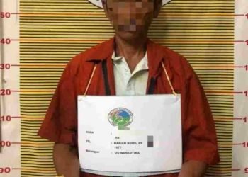 Tersangka kepemilikan narkotika jenis ganja yang berhasil diamankan Polres Samosir. 