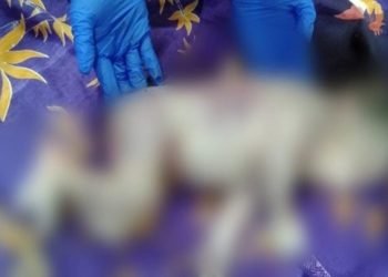 Bayi yang ditemukan di Kebun Teh Sidamanik saat akan dirawat akhirnya meninggal dunia.