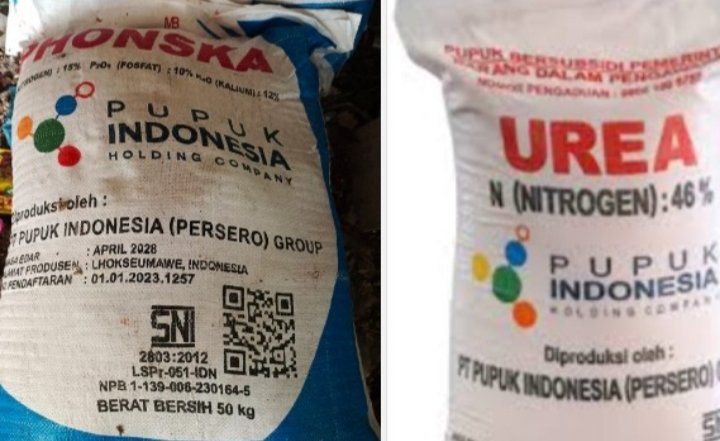 Pupuk subsidi Urea dan Ponska. (IST)