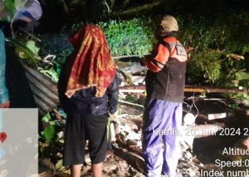 TKP pohon tumbang di Deli Serdang yang tewaskan ibu dan anak.