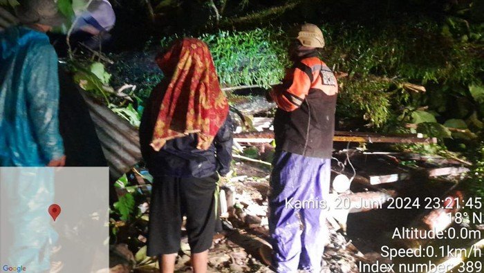 TKP pohon tumbang di Deli Serdang yang tewaskan ibu dan anak.