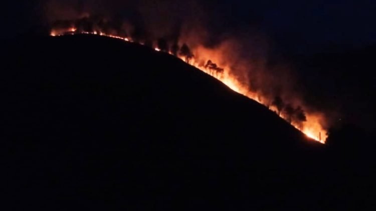 Perbukitan hutan di Silahisabungan, Kabupaten Dairi terbakar.