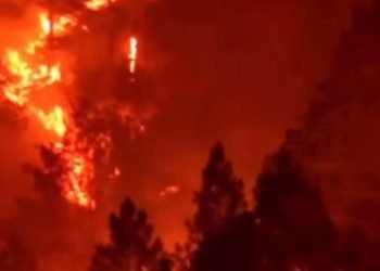 Terjadi kebakaran hutan di pebukitan di kawasan Danau Toba, tepatnya di Desa Sipitu Dai, Kecamatan Sianjur Mulamula, Kabupaten Samosir. 