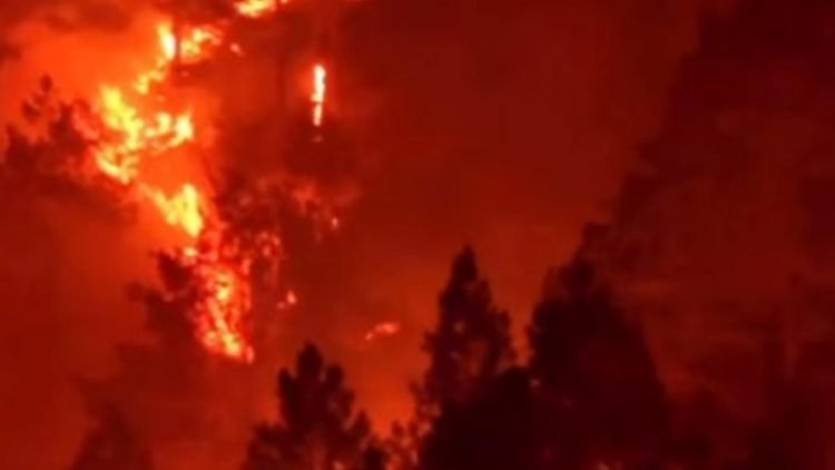 Terjadi kebakaran hutan di pebukitan di kawasan Danau Toba, tepatnya di Desa Sipitu Dai, Kecamatan Sianjur Mulamula, Kabupaten Samosir.