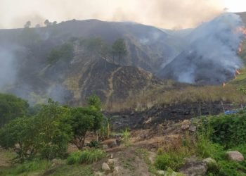 Kebakaran perbukitan hutan kawasan Danau Toba di Tao Silalahi, Kecamatan Silahisabungan, Kabupaten Dairi sampai ke lahan pertanian masyarakat. 
