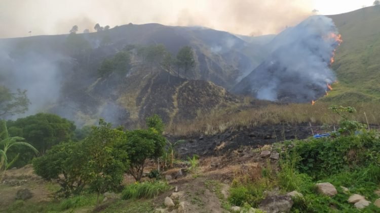 Kebakaran perbukitan hutan kawasan Danau Toba di Tao Silalahi, Kecamatan Silahisabungan, Kabupaten Dairi sampai ke lahan pertanian masyarakat. 