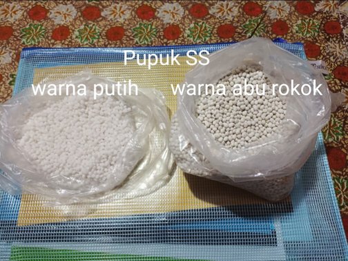 Pupuk SS ( ammophos) warna putih dan abu rokok.