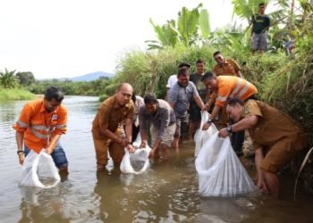 Tim Community Relations PT AR bersama Kadinas Perikanan Tapsel Saiful AP Nasution (kedua dari kiri) serta masyarakat melepas ribuan bibit ikan jurung dan ikan mas ke Sungai Garoga Desa Batu Hula. (IST)