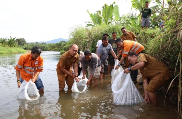 Tim Community Relations PT AR bersama Kadinas Perikanan Tapsel Saiful AP Nasution (kedua dari kiri) serta masyarakat melepas ribuan bibit ikan jurung dan ikan mas ke Sungai Garoga Desa Batu Hula. (IST)