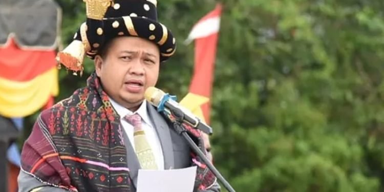 Bupati Tapanuli Selatan (Tapsel) Dolly Pasaribu.