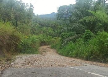 Jalan Provinsi Sumatera Utara (Sumut), Parsoburan, Kabupaten Toba - Perbatasan Kabupaten Labuhanbatu Utara (Labura)