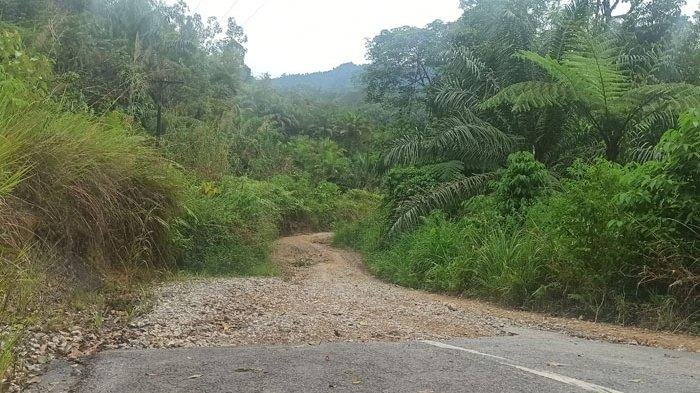 Jalan Provinsi Sumatera Utara (Sumut), Parsoburan, Kabupaten Toba - Perbatasan Kabupaten Labuhanbatu Utara (Labura)
