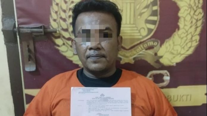 Tersangka pemilik narkotika jenis ganja saat di Polres Samosir.