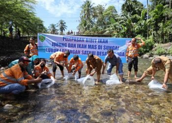PTAR melepas bibit ikan di Sungai Garoga, Batang Toru, Kabupaten Tapanuli Selatan, Sumatra Utara.(IST)