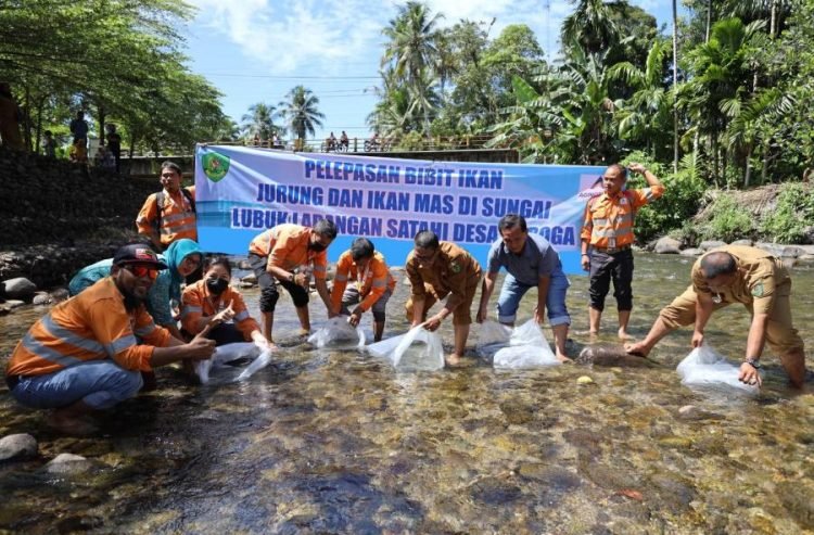 PTAR melepas bibit ikan di Sungai Garoga, Batang Toru, Kabupaten Tapanuli Selatan, Sumatra Utara.(IST)