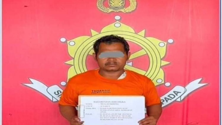 Tersangka pelaku persetubuhan terhadap anak kandung diamankan di Polres Dairi. 