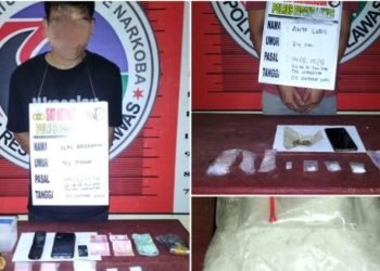Bawa narkoba, 9 warga Kecamatan Sosa Julu Kabupaten Palas diamankan. 
